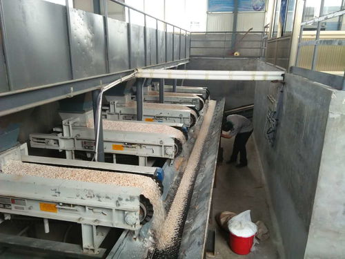 摻混肥配料訂制 河北BB肥配料 江蘇BB肥配料